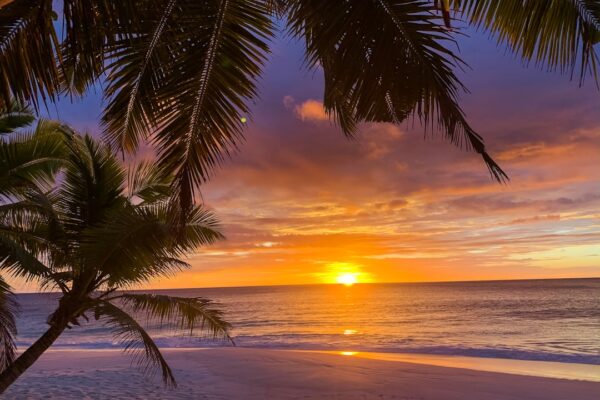 Photo Tropical beach